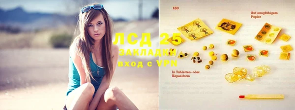 PSILOCYBIN Богданович