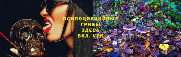 спиды Белоозёрский