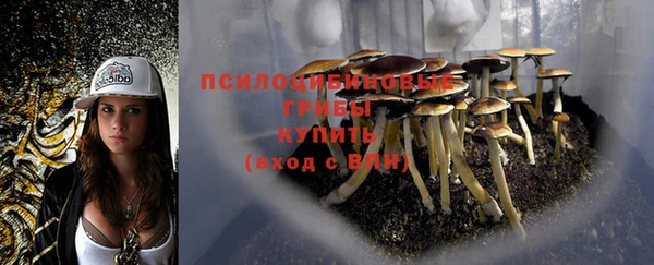 спайс Богородицк