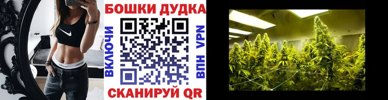 Бошки марихуана сатива  цена   Беломорск 